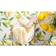 Design Imports Lemon Bliss Tablecloth Multicolour