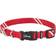 Disney Mickey Mouse Streetwear Pattern Dog Collar M