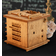 iDventure Schroedingers Cat Escape Room Game