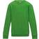 AWDis Kid's Plain Crew Neck Sweatshirt - Lime Green