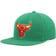 Mitchell & Ness Chicago Bulls 20th Anniversary Like Mike Snapback Hat Men - Green