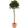 Europalms Laurel Ball Kunstig plante