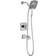Delta Ashlyn Monitor (T17464-SS-I) Stainless Steel