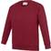 AWDis Kid's Academy Crew Neck Raglan School Sweatshirt 2-pack - Claret