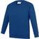 AWDis Kid's Academy Crew Neck Raglan School Sweatshirt 2-pack - Deep Royal