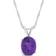 Macy's Pendant Necklace - Silver/Amethyst