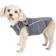 Petlife Active Racerbark 4-Way-Stretch Yoga Fitness Dog T-Shirt XS