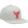 Mitchell & Ness Chicago Bulls Hardwood Classics Tonal Snapback Hat Men - Grey