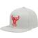 Mitchell & Ness Chicago Bulls Hardwood Classics Tonal Snapback Hat Men - Grey