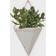 Umbra Trigg Wall Display Pot 9.017cm