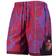 Mitchell & Ness Toronto Raptors Hardwood Classics Lunar Swingman Shorts Sr