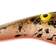 Zalt Shad 21cm Burbot