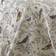 Levtex Home Mockingbird Toile Quilts Grey (233.68x223.52cm)