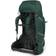 Osprey Aether Plus 70 M - Axo Green