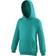 AWDis Kid's Hooded Sweatshirt - Jade (UTRW169)