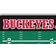 Fanmats Ohio State Buckeyes Football Field Rug