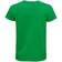 Sol's Pioneer Organic T-shirt Unisex - Kelly Green