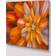 Design Art Massive Orange Fractal Wall Decor 20x12"