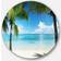 Design Art Palm Trees and Sea Landscape Photo Disc Metal Wall Art Wall Decor