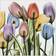 Empire Art Direct Tulip X-Ray Glass Wall Decor 24x24"