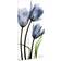 Empire Art Direct Three Blue Tulips Glass Wall Decor 24x48"