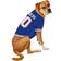 Pets First New York Islanders Hockey Jersey S