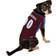 Pets First Colorado Avalanche Hockey Jersey XS