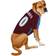 Pets First Colorado Avalanche Hockey Jersey XS