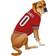 Pets First Carolina Hurricanes Hockey Jersey S