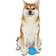 Arm & Hammer Super Treadz Blowfish Dental Dog Toy