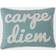 Levtex Home Tania Carpe Diem Complete Decoration Pillows Green (45.72x35.56)