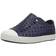 Native Big Kid's Jefferson - Regatta Blue/Shell White