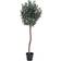 House Nordic Olive Green Kunstig plante