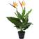 vidaXL Parrot Flower Artificial Plant