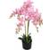 vidaXL Orchid Konstgjord växt