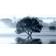 Art Link Canvas Sprint Tree Billede 130x70cm