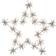 Star Trading Flower Transparent Stella dell'Avvento 60cm