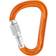 Petzl Attache Screw Lock HMS