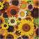 Galison Sunflower Blooms 500 Pieces