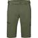 Mammut Runbold Shorts Men - Iguana