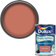 Dulux Simply Refresh Feature Ceiling Paint, Wall Paint Blood Orange 1.25L