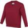 AWDis Kid's Academy V-Neck Sweatshirt - Claret (AC003J)