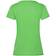 Fruit of the Loom Womens Valueweight Short Sleeve T-shirt 5-pack - Lime