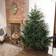 Premier Glenshee Spruce Artificial Christmas Tree 210cm