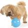 Planet Dog Orbee-Tuff Snoop Interactive Treat Dispensing Toy - Large