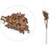 Villa Collection Twig Pampus Dekoration