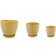 Flora Bunda Hiero Round Pot Planter Set 3-pack