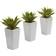 Nearly Natural Mini Agave with Planter 3-pack 5"