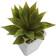 Nearly Natural Mini Agave with Planter 3-pack 12.7cm