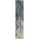 Nourison Maxell Blue, Beige 66.04x228.6cm